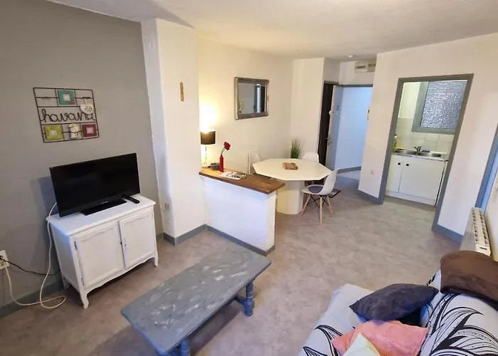 Appart Hotel Roanne Hyper Centre Ville