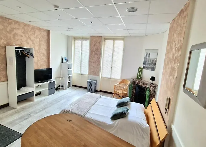 Appart Hotel Roanne Hyper Centre Ville