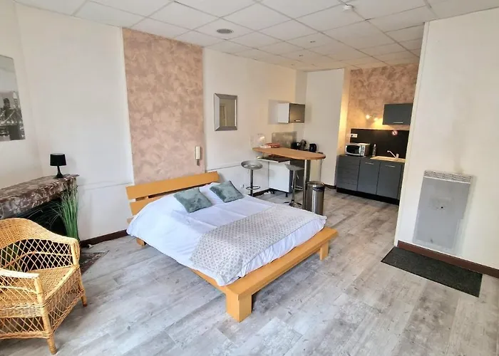 Appart Hotel Roanne Hyper Centre Ville
