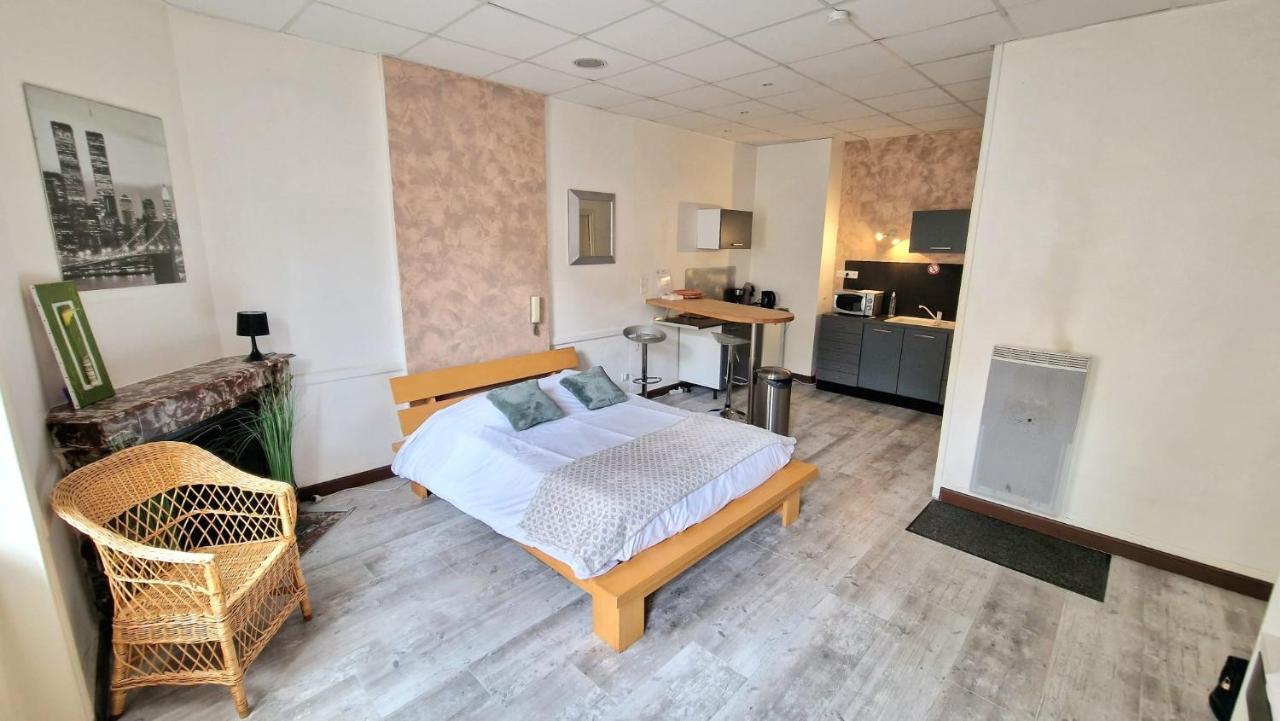 Hyper Centre Aparthotel Roanne